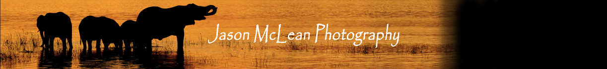 Jason McLean Photography